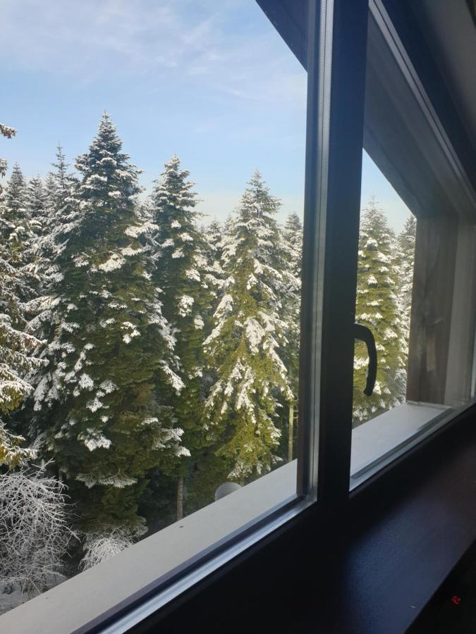 Borovets Forest View Bagian luar foto
