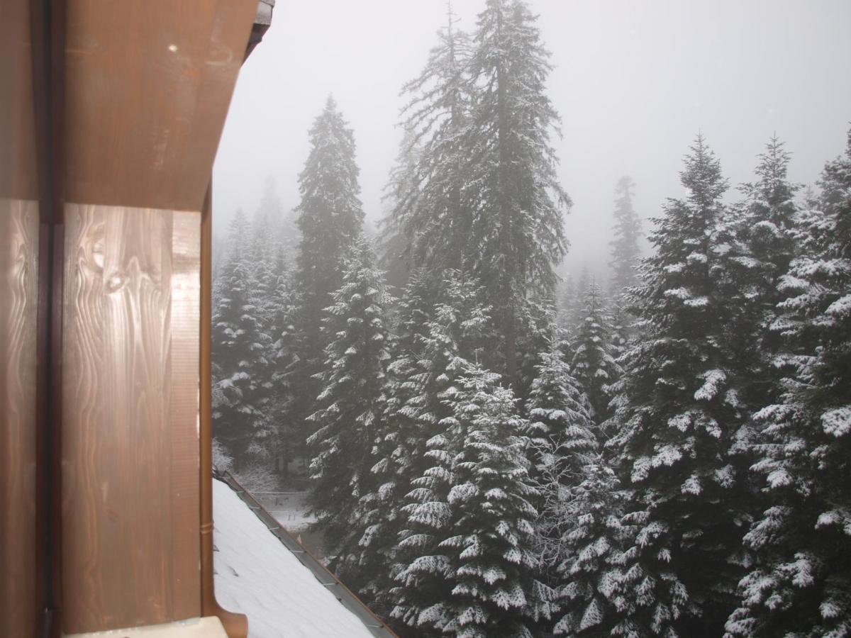 Borovets Forest View Bagian luar foto