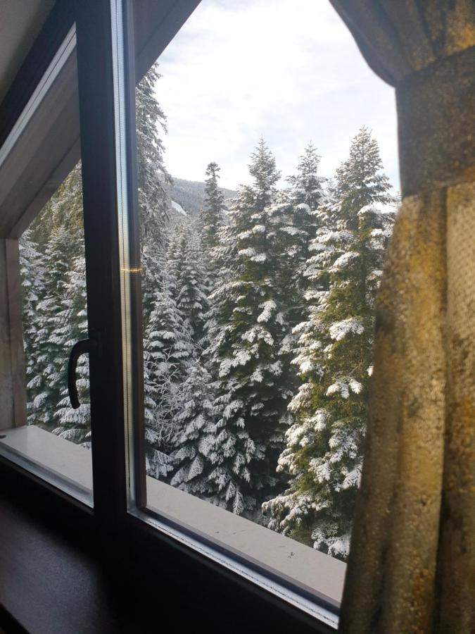 Borovets Forest View Bagian luar foto